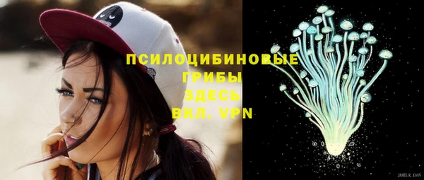 мдпв Калач