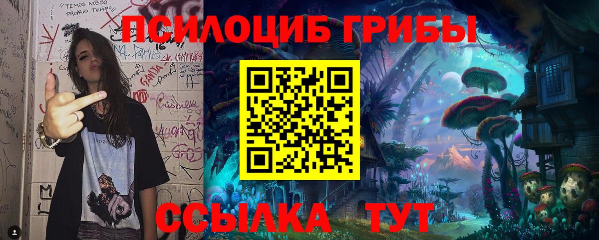 Псилоцибиновые грибы Cubensis Луховицы